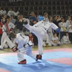 Taekwondo 19