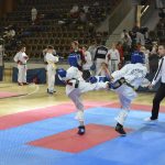Taekwondo 2