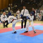 Taekwondo 3