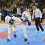 Taekwondo 4