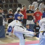 Taekwondo 7