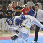 Taekwondo 8