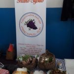 agroturizam stolac6