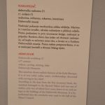 knezev dvor izlozba 051016 15