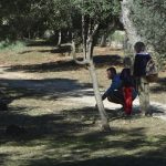 lokrum 9