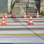 pjesacki zebra 6