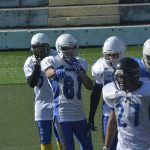 sharks kamp019