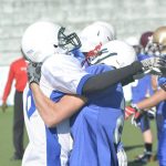 sharks kamp031