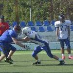 sharks kamp055