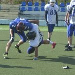 sharks kamp074