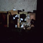 svedska sibica 201016 37
