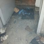 Pozarna intervencija Nuncijata 5