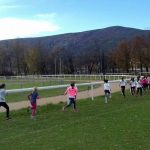 Prvenstvo Dalmacije u krosu 2016 2