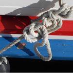 fotomaraton getaldic 2016 3