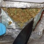 marihuana karasovici zapljena 021116 4
