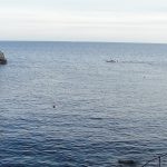 ulicama boris 262