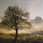 Fotoklub Marin Getaldic Izlozba 1