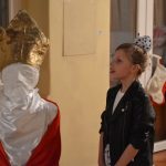 Maslina priredba 15