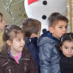 Snjesko Raguseo 15
