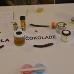 desa skola cokolade015