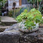 gradi stojan ljetnikovac 1
