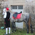 kolenda gruda mirisi bozica 12