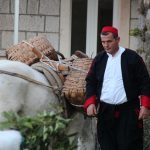 kolenda gruda mirisi bozica 18