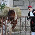 kolenda gruda mirisi bozica 26