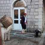 kolenda gruda mirisi bozica 8