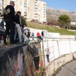 mokosica torcida grafiti 221216 16