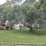 uvala lapad beach007