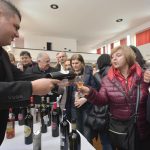 vino peljesac 11