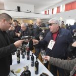 vino peljesac 12