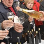 vino peljesac 16