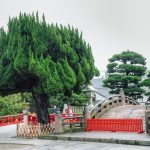 Japan by Dubravko Lenert 8