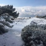 Lokrum Snijeg 1