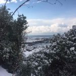 Lokrum Snijeg 2