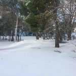 Lokrum Snijeg 21