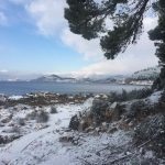 Lokrum Snijeg 27