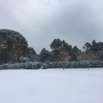 Lokrum Snijeg 3