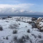Lokrum Snijeg 6