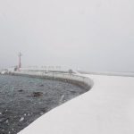 Porporela Snijeg 1
