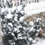 Snijeg zupanija Konavle gruda Grad Ploce 17