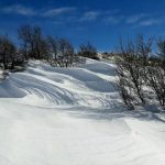 SnježnaSniježnica 14