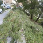 bura 7