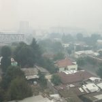 cile pero kojan1