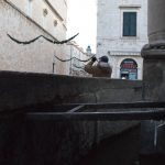 dubrovnik led bura nevrijeme vjetar hladnoca 070117 26