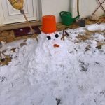 lasic snjesko