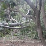 lokrum nevrijeme 070117 1