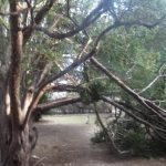 lokrum nevrijeme 070117 2